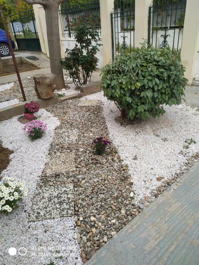 Stavros Apartments Αρτέμιδα Εξωτερικό φωτογραφία