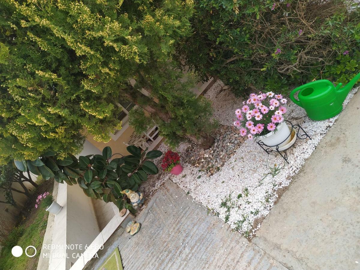Stavros Apartments Αρτέμιδα Εξωτερικό φωτογραφία